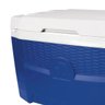 caixa termica igloo quantum de 52 litros com capacidade para 1566900277 d725 600x600